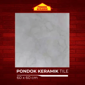 MASSIMO 60X60 BOTSWANA L GREY