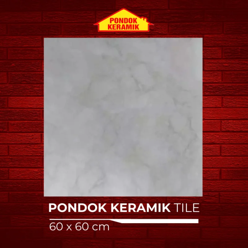 MASSIMO 60X60 BOTSWANA L GREY